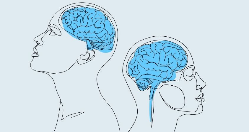 Zeichnung von zwei menschlichen Köpfen