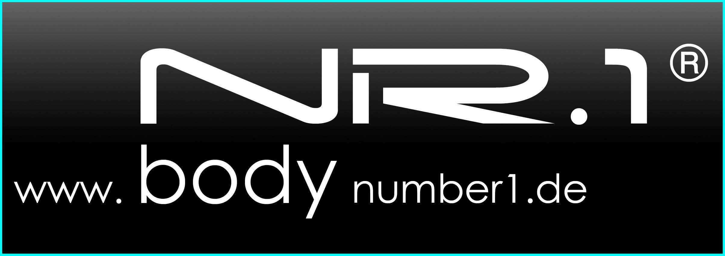 body number 1 logo